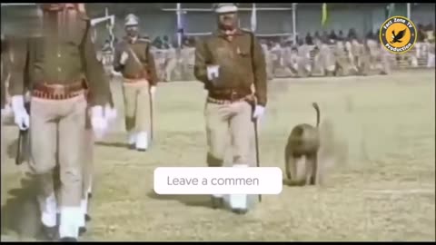 Funny 🤣🤣🤣🤣 video