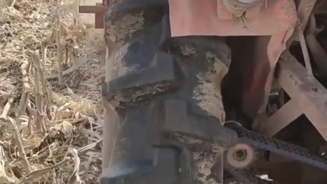 CRC vídeos curiosos