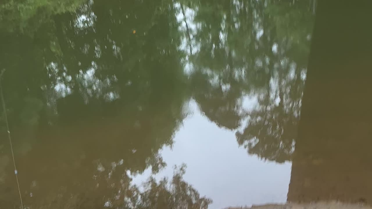 Good morning it’s fishing time