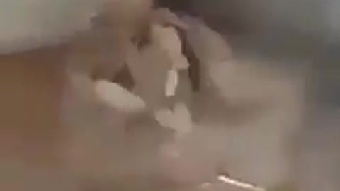 destroyer