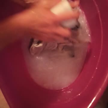 Soapsuds washing