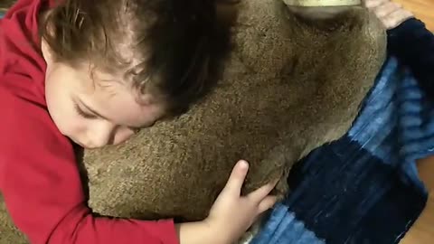 Girl Hugs a Very Docile Deer