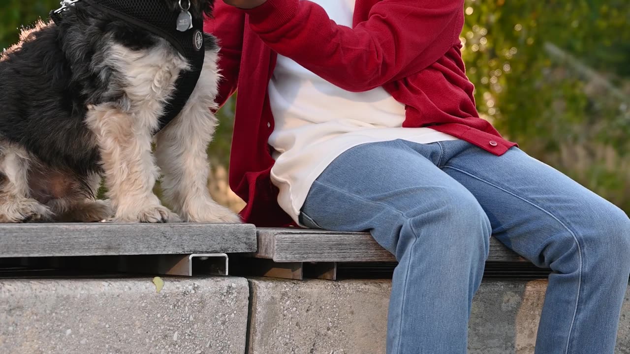 The dog is crying with moms🦮❤️💖🥀👌🥀💖🐕