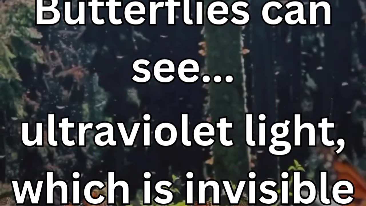 01 Nature Facts You Didn't Know