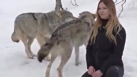 Girl Howls with Giant Wolves