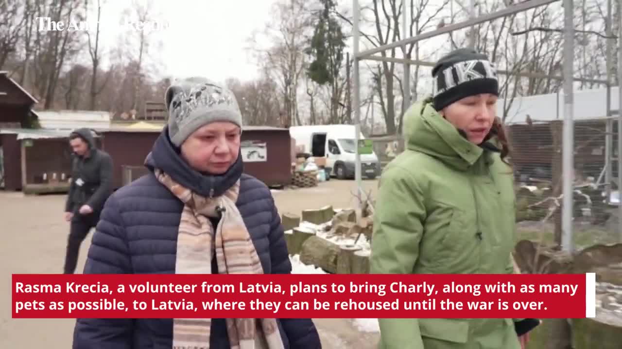 Animal News Emotional farewell to cat Charly at animal shelter in Ukraine (VIDEO)