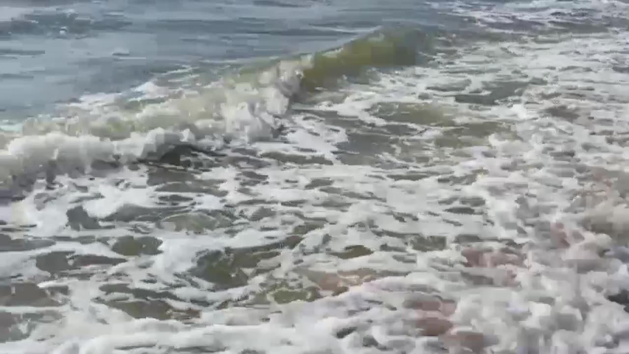 At the beach today