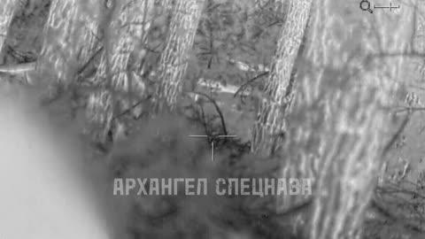 Russian sniper teleported a militant of the Armed Forces of Ukraine