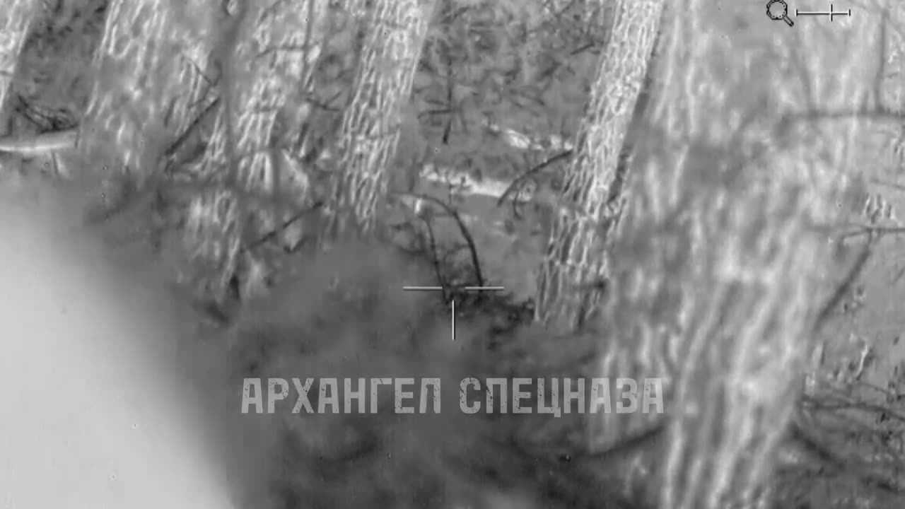 Russian sniper teleported a militant of the Armed Forces of Ukraine