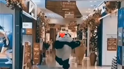 Funny panda punk