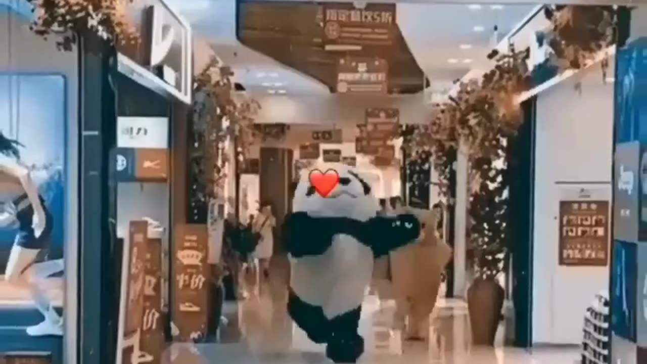 Funny panda punk