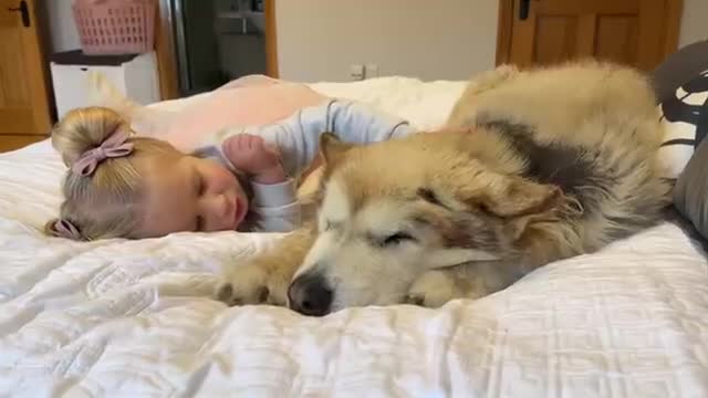 Adorable Baby Girl Tries To Convince Sulking Dog It's BATH Time! (Cutest Ever!!)
