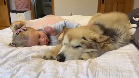 Adorable Baby Girl Tries To Convince Sulking Dog It's BATH Time! (Cutest Ever!!)