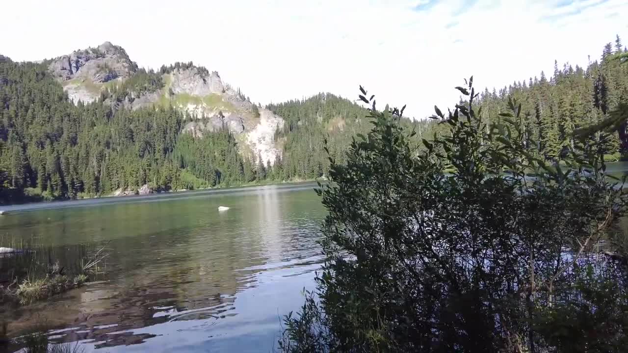 Experiencing The Gorge | Dave Matthews Band | Night 3, 2022