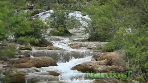 Captivating Cascades: Exploring the World's Most Beautiful Waterfalls