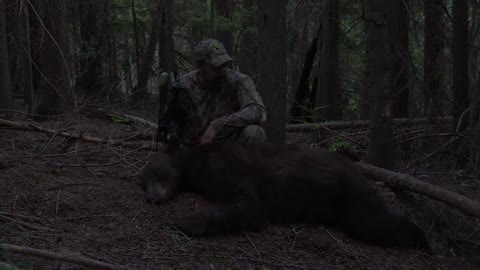 2018 Archery Bear Hunt - Idaho Public Land DIY
