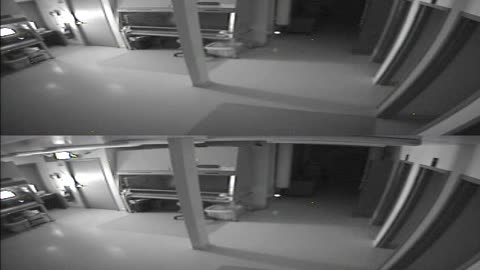 1702CRIB01CribAnalysisArea_2021-01-05_02h20min00s177ms.mp4