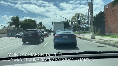 One Light Unemployed Gangstalker #5