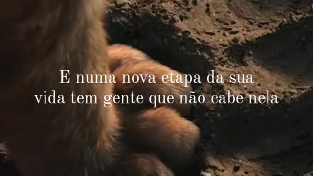 Chegou a Hora - Frases Inspiradoras.