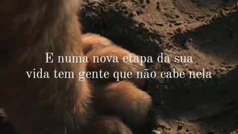 Chegou a Hora - Frases Inspiradoras.