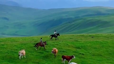 Explore the Majestic Beauty of Green Mountains on Horseback