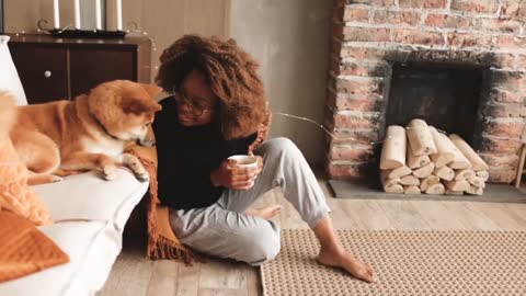 Cute dogs || Cute dog videos || Amazing pets || American pet lover