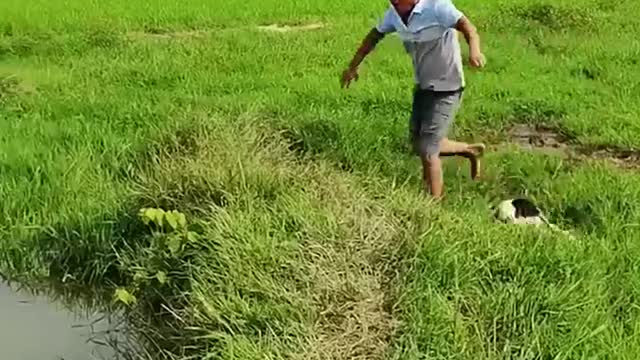 Funny video don’t believe you don’t laugh 44 #Shorts