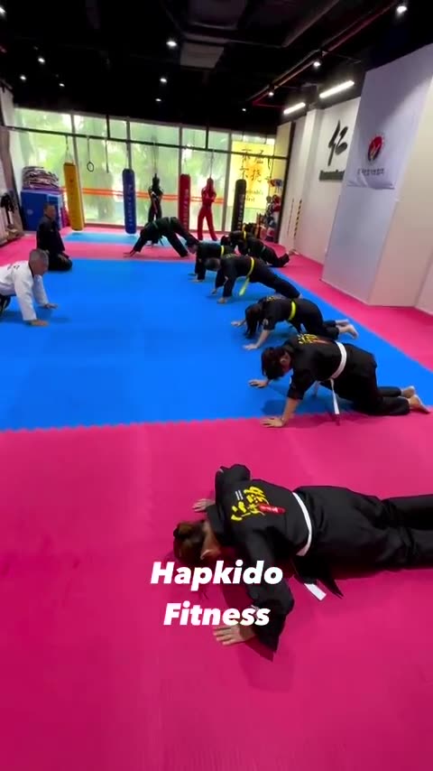 Hapkido