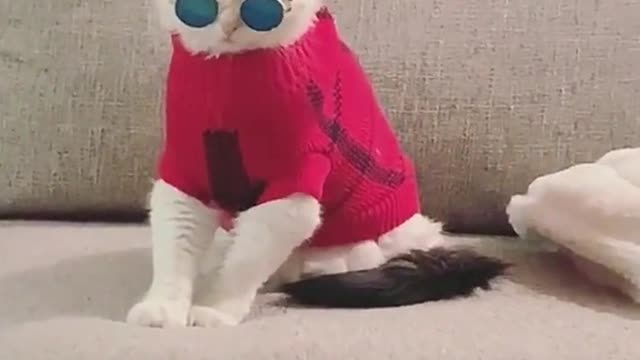 😎