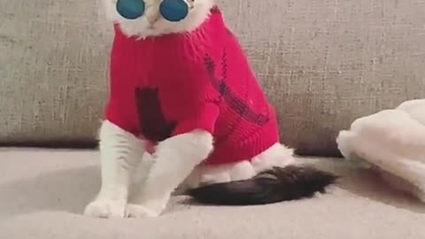 😎
