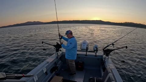 08-25-24 Folsom Lake, Ca - King Salmon