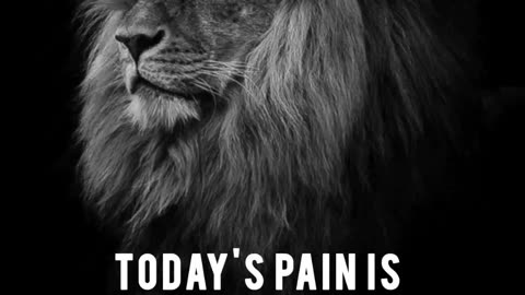 Today's Pain Tomorrow Power