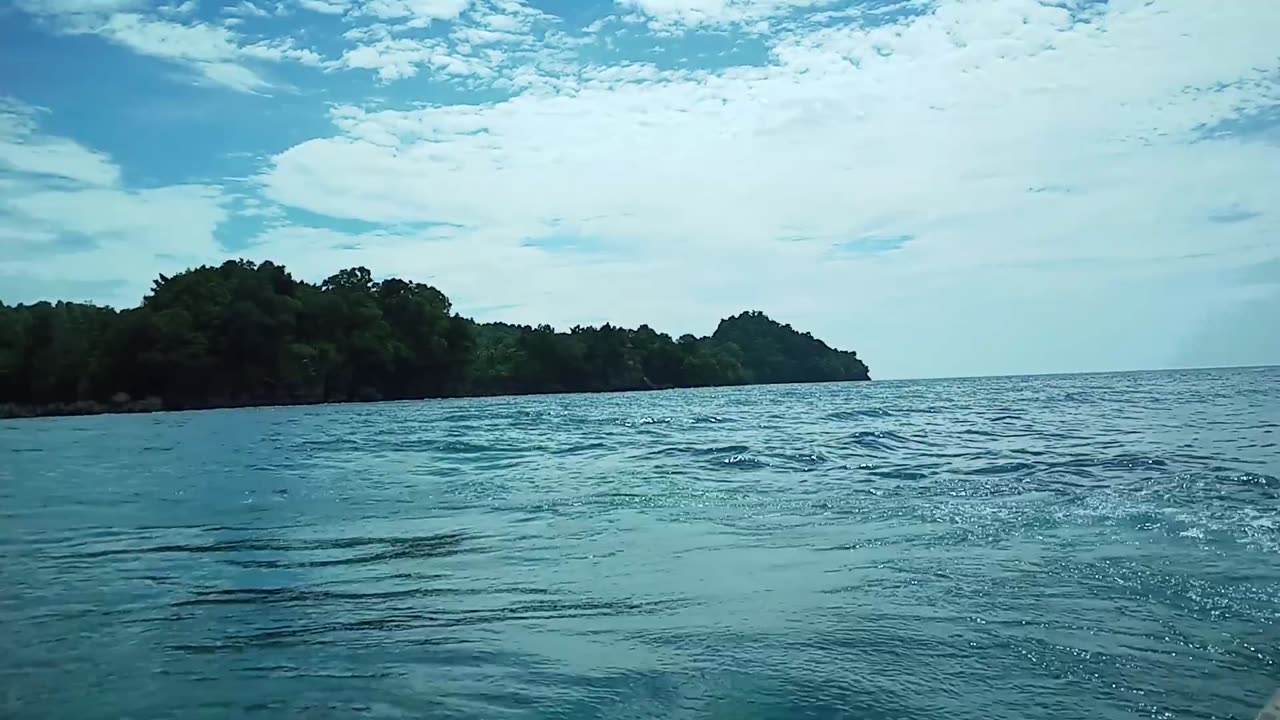 FISH FROM MENTAWAI INDONESIA