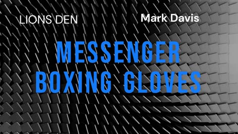 Messenger boxing gloves