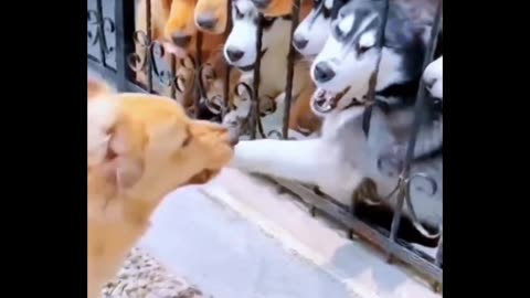 Funny moments 😂😂