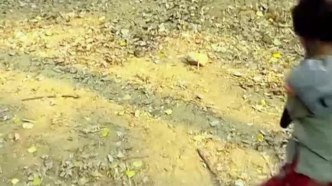 Hollywood dhamakedar action movie part 2