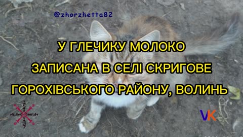 У ГЛЕЧИКУ МОЛОКО