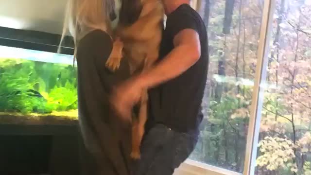 Doggy Will Only Let Dad Pick Her Up