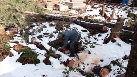 TIMELAPSE - DIY Log Cabin with Mini Wood Stove