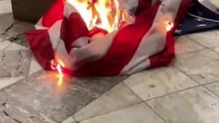 Antifa enters Portland City Hall, burns American flag.