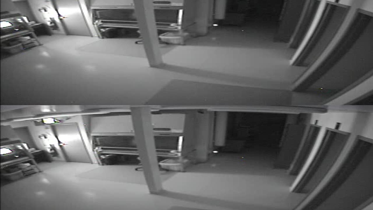 1702CRIB01CribAnalysisArea_2021-01-05_00h00min00s000ms.mp4