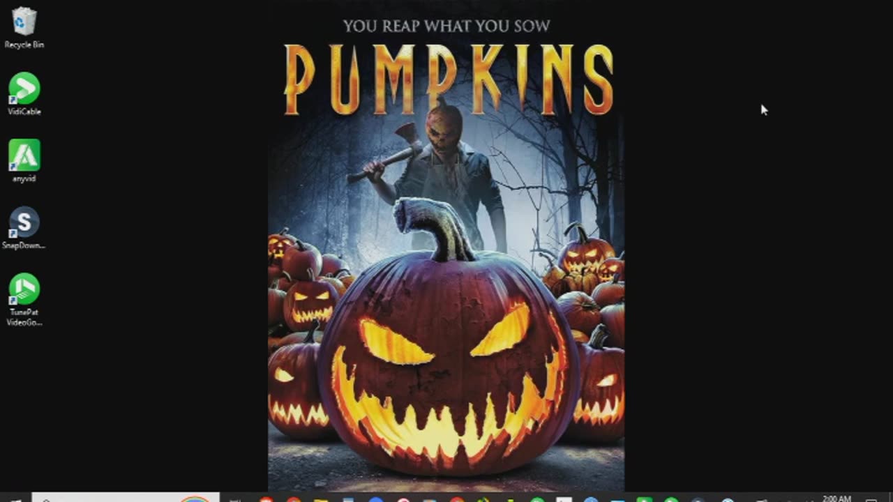 Pumpkins Review