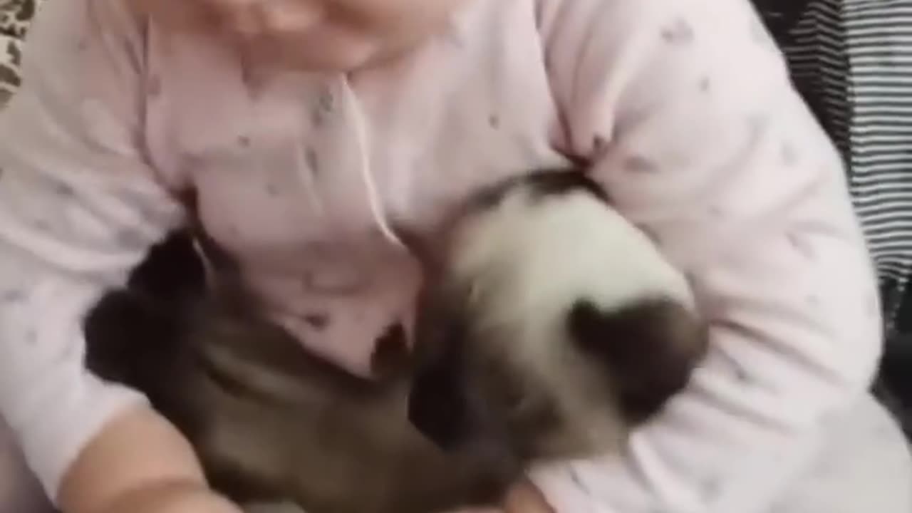 Cute little baby
