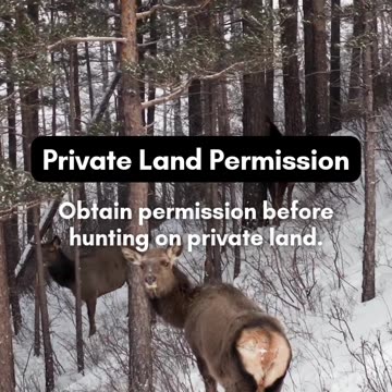 Hunting Season in Montana? What You Need to Know!