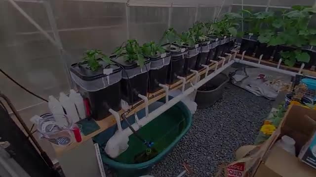 Harbor Freight Greenhouse & Hydroponics Overview