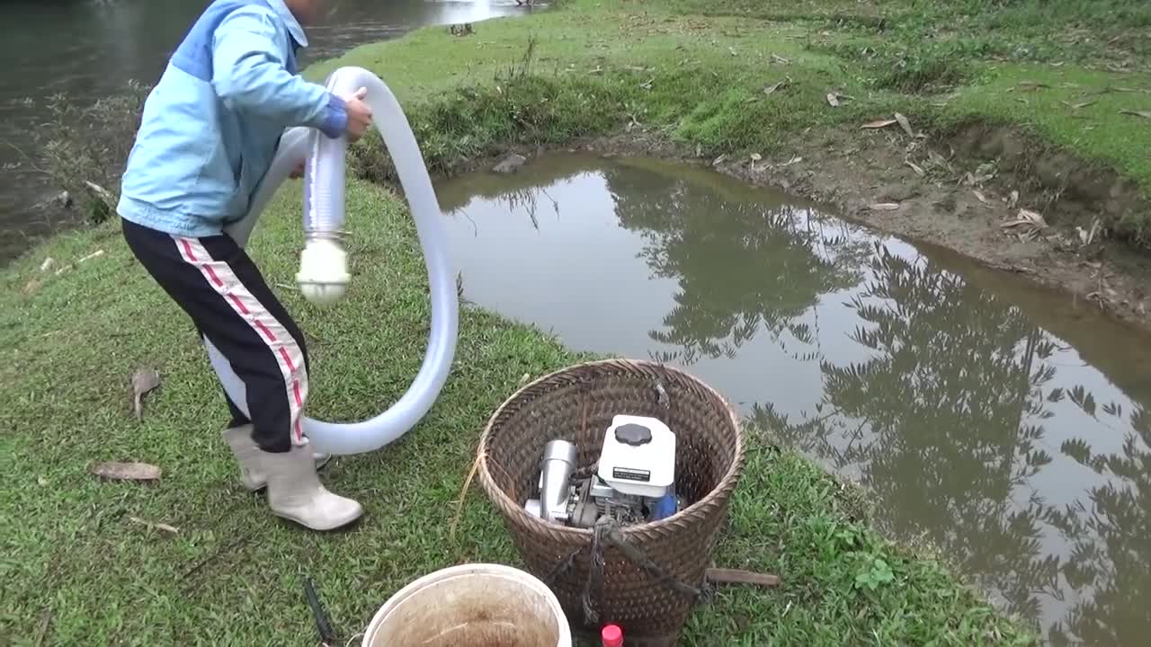 Hunting wild fish | Catch a lot of fish in the wild lake by using the big pump to suck the water-7