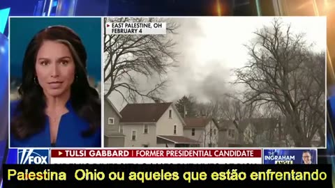 Tulsi Gabbard: isso é 'um insulto tão maldito'