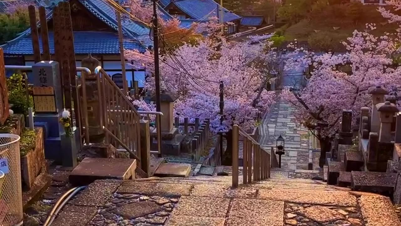 "Japan Unveiled: A Visual Symphony of Natural Beauty"