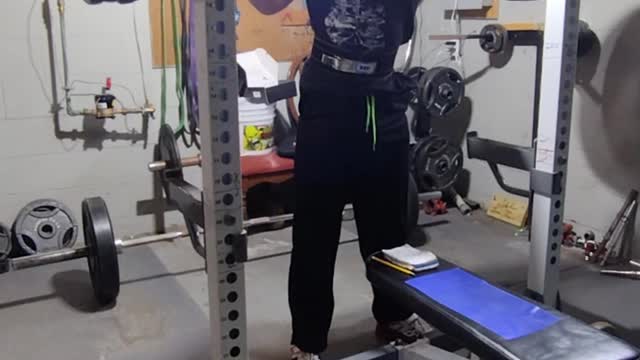 335 x 5 squat low bar x