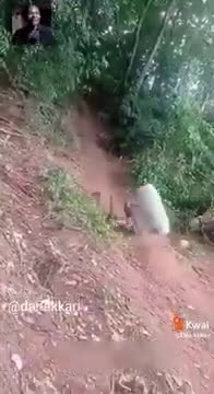 Tente não rir kkkkk